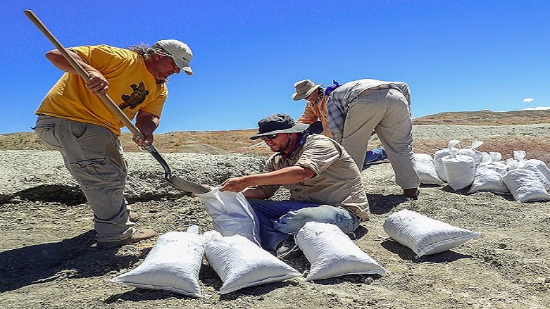 Primatların atası bulundu: 56 milyon yıllık